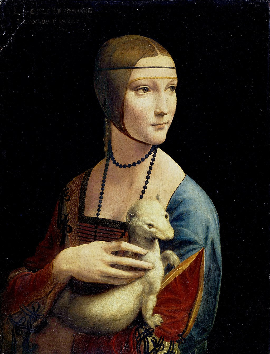 Lady with an Ermine (Black t-shirt)